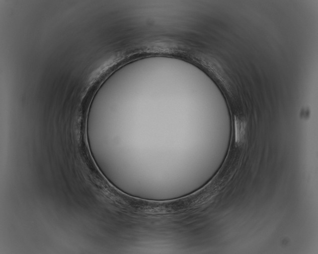 X0000091070675200708271216