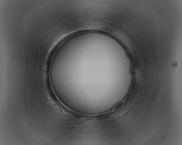 X0000091070676200708271216