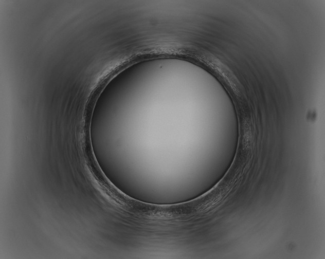 X0000091070677200708271216