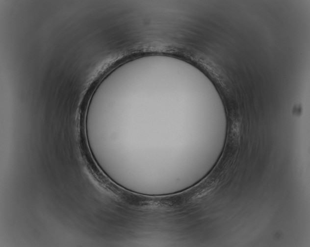 X0000091070678200708271216