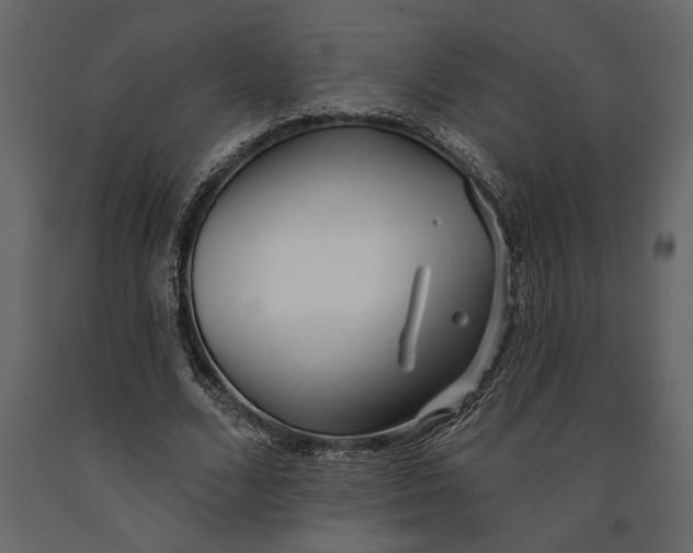 X0000091070680200708271216