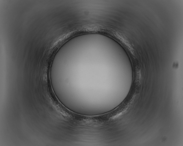 X0000091070681200708271216