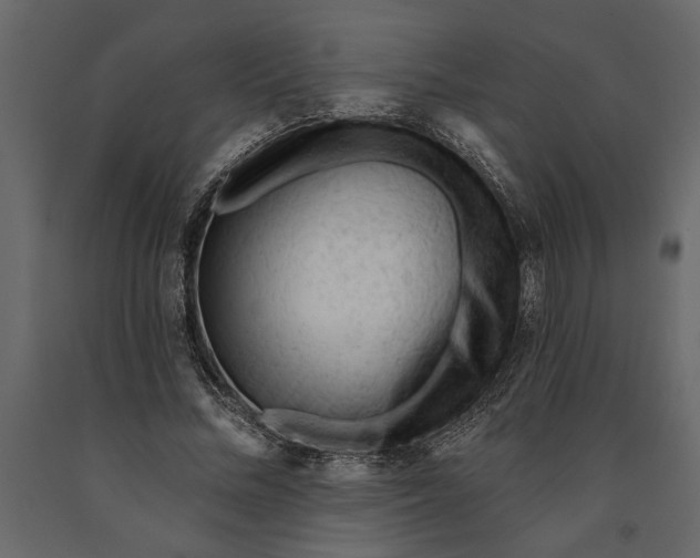 X0000091070684200708271216