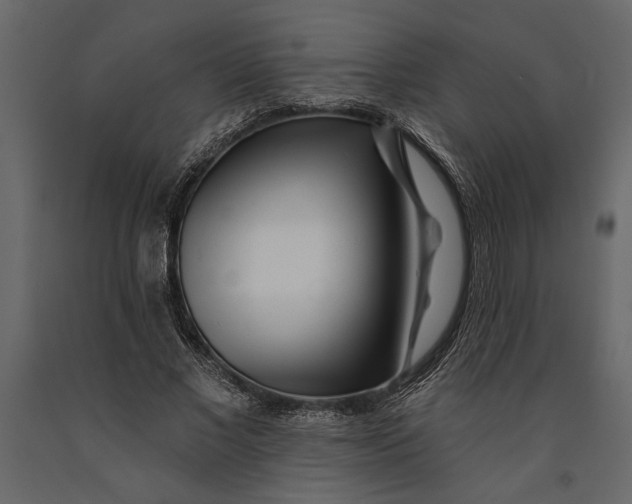 X0000091070685200708271216