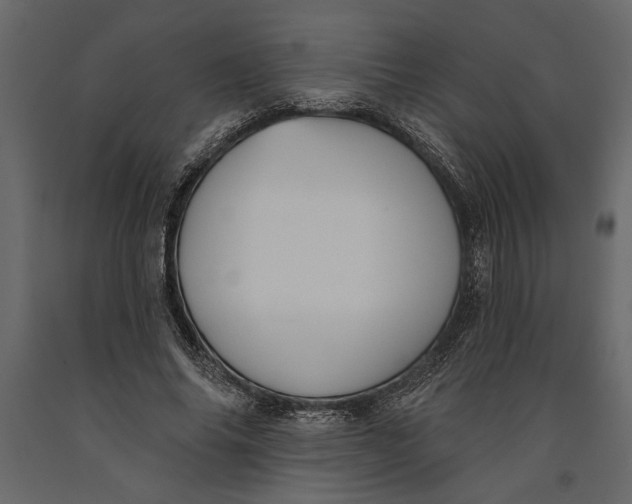 X0000091070686200708271216