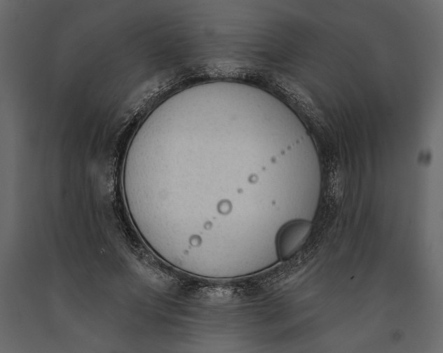 X0000091070687200708271216