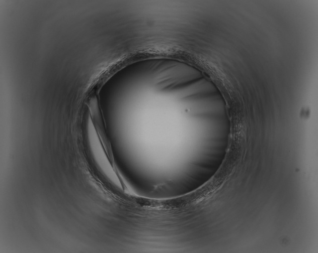 X0000091070688200708271216