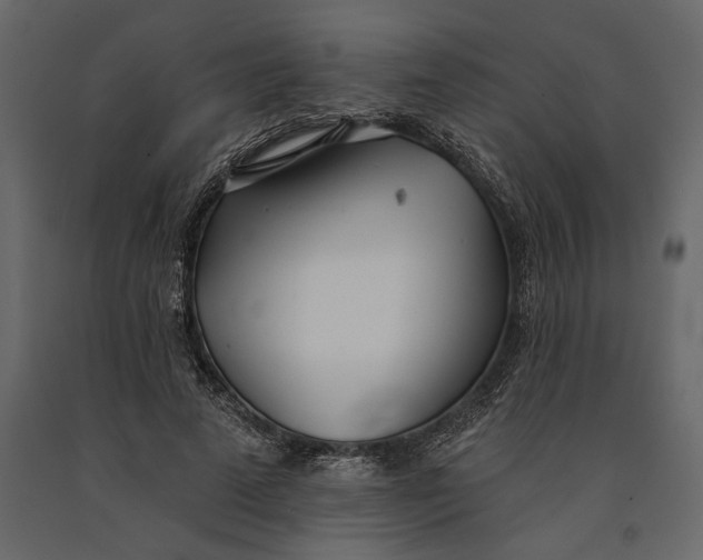 X0000091070689200708271216