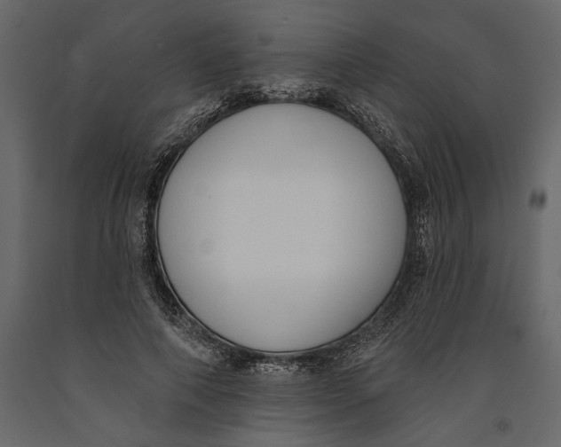 X0000091070690200708271216