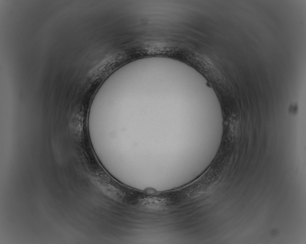 X0000091070691200708271216