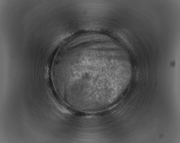 X0000091070692200708271216