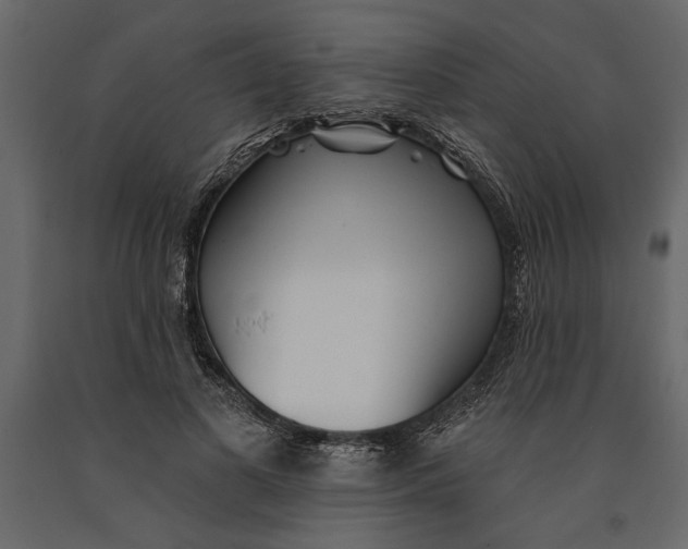 X0000091070693200708271216