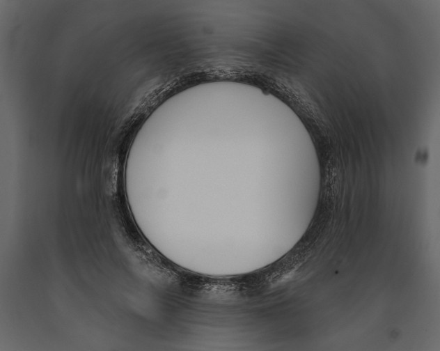 X0000091070694200708271216