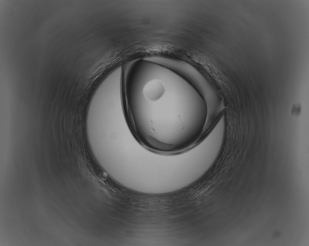 X0000091070696200708271216