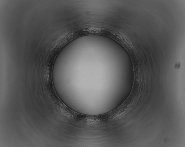 X0000091070697200708271216