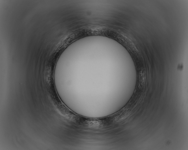 X0000091070698200708271216