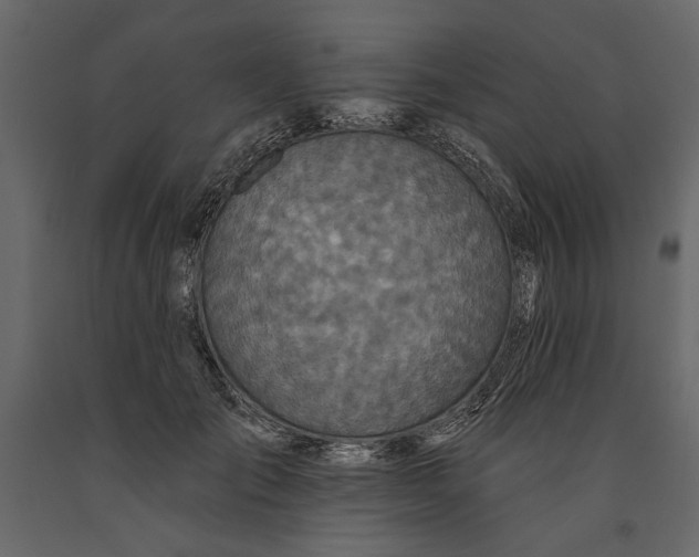 X0000091070701200708271216