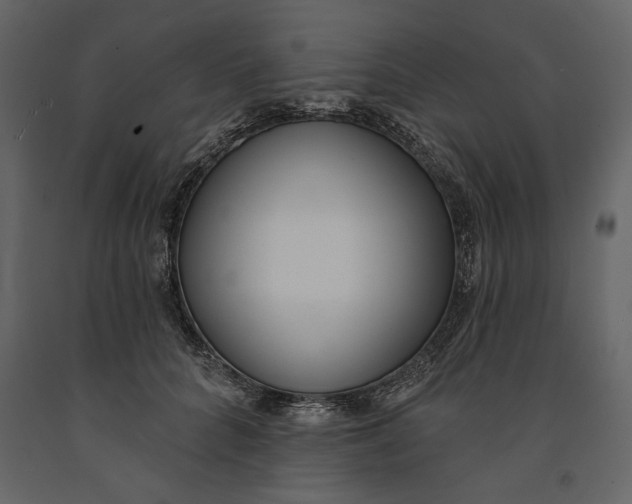 X0000091070704200708271216