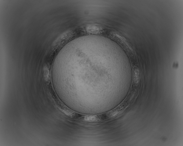 X0000091070705200708271216