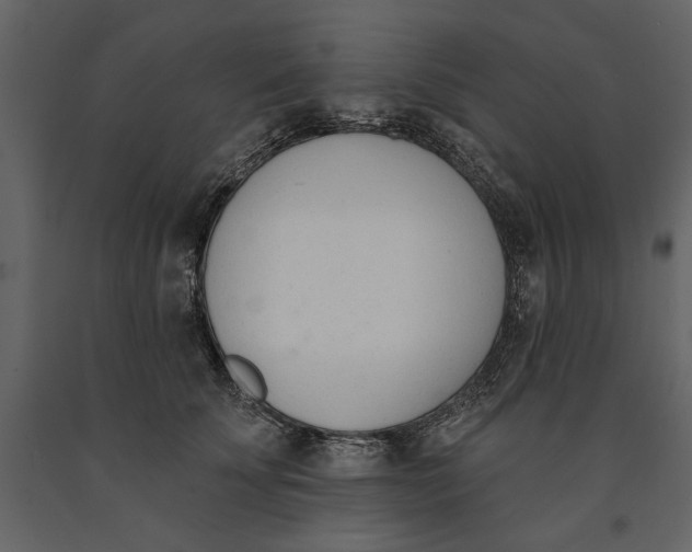 X0000091070707200708271216