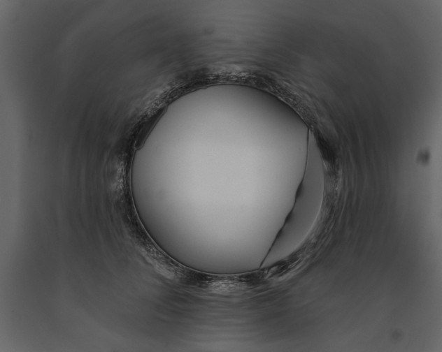 X0000091070708200708271216