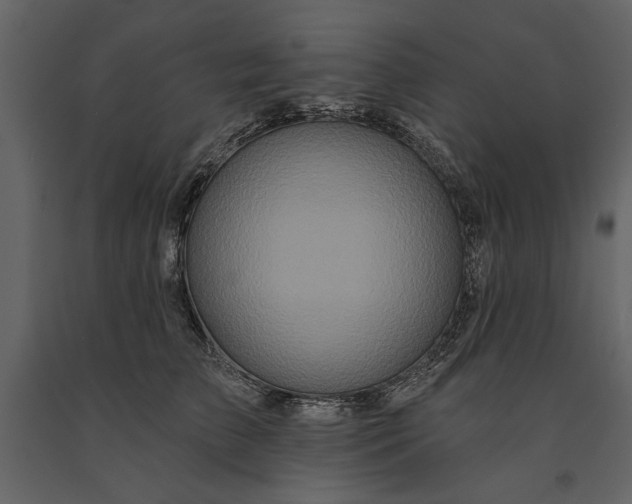 X0000091070709200708271216