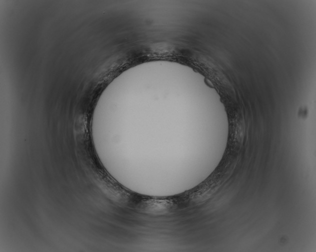 X0000091070711200708271216