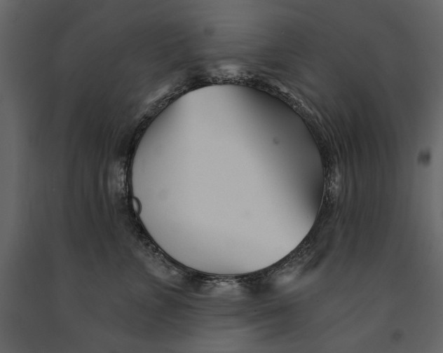 X0000091070715200708271216