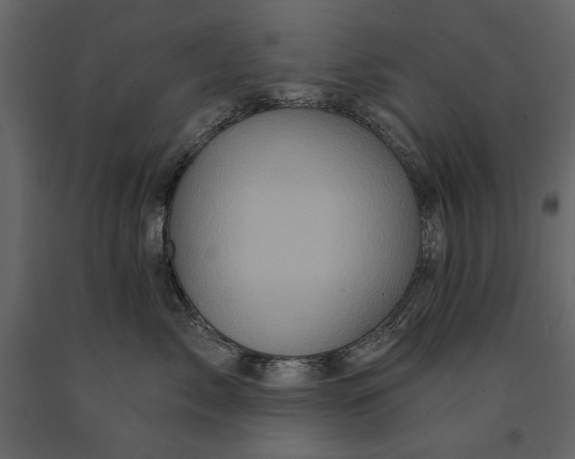 X0000091070717200708271216