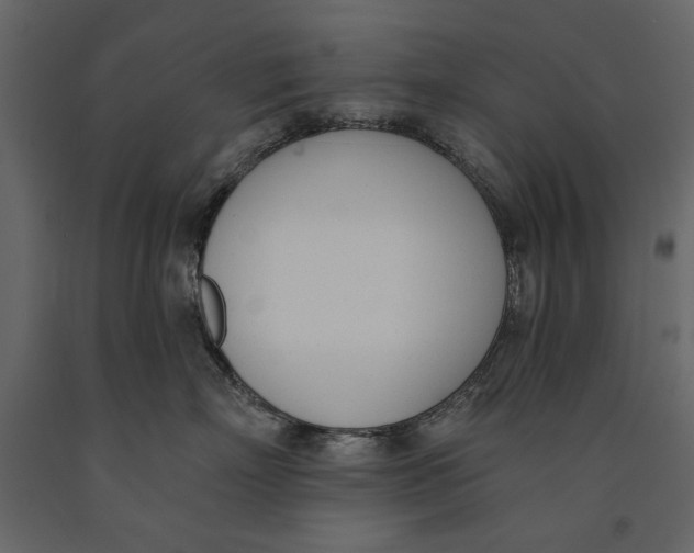 X0000091070718200708271216