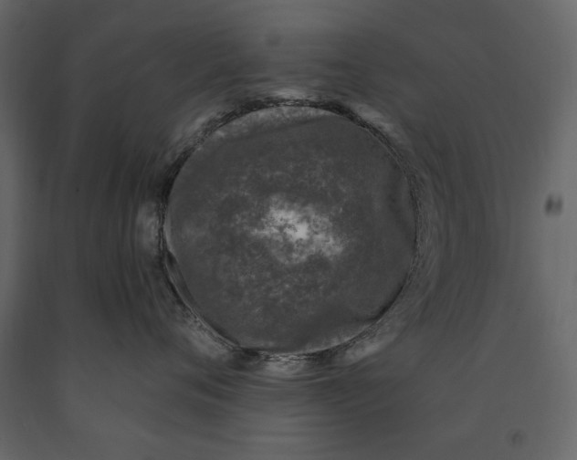 X0000091070720200708271216