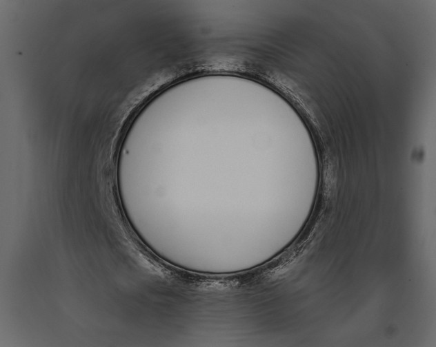 X0000091070721200708271215