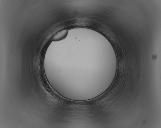X0000091070722200708271215