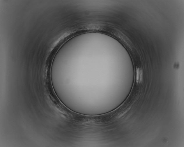 X0000091070723200708271215
