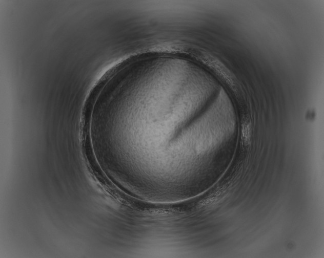 X0000091070724200708271215