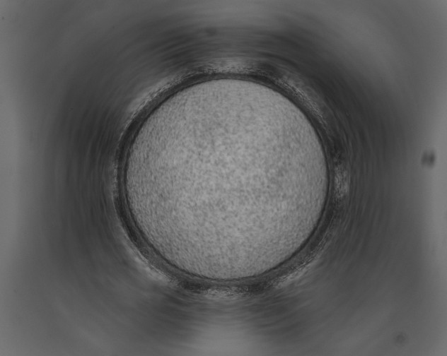 X0000091070725200708271215