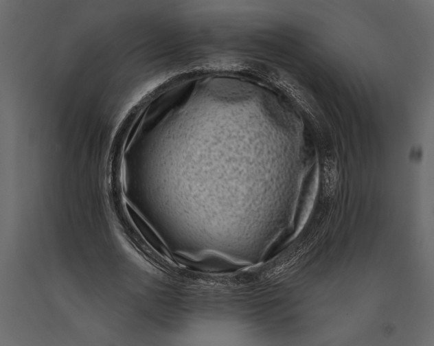 X0000091070726200708271215
