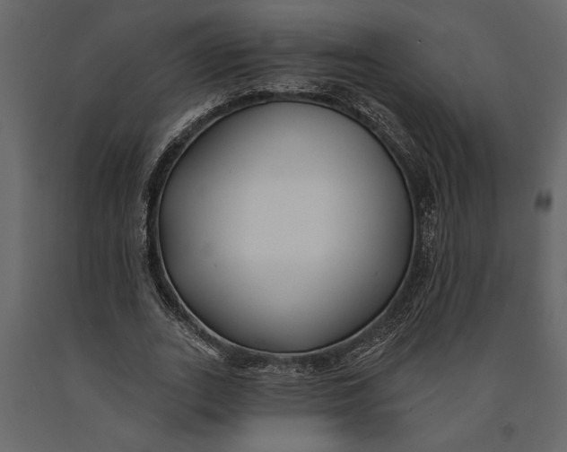 X0000091070727200708271215