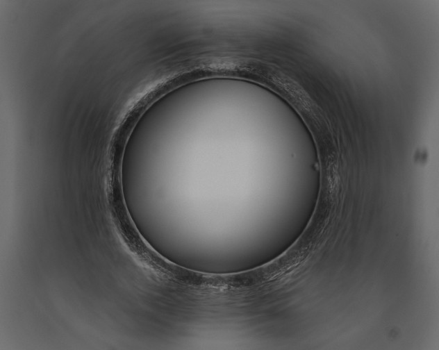 X0000091070728200708271215