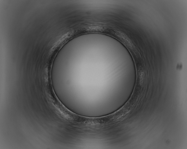 X0000091070729200708271215