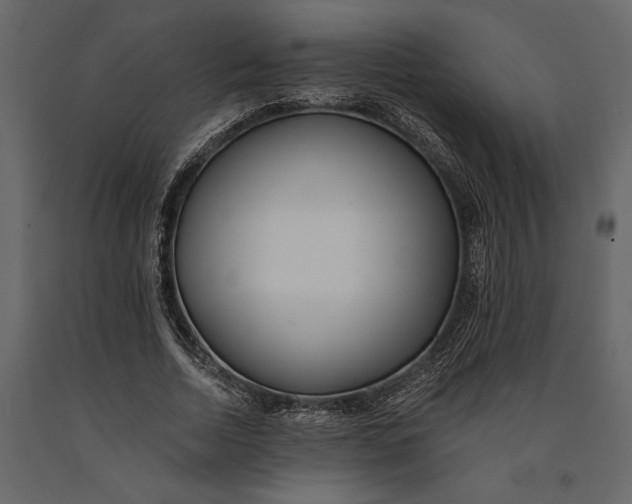 X0000091070730200708271215