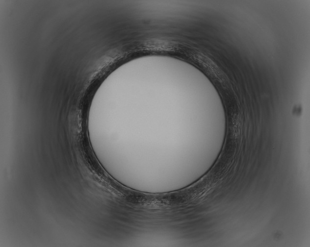 X0000091070731200708271215