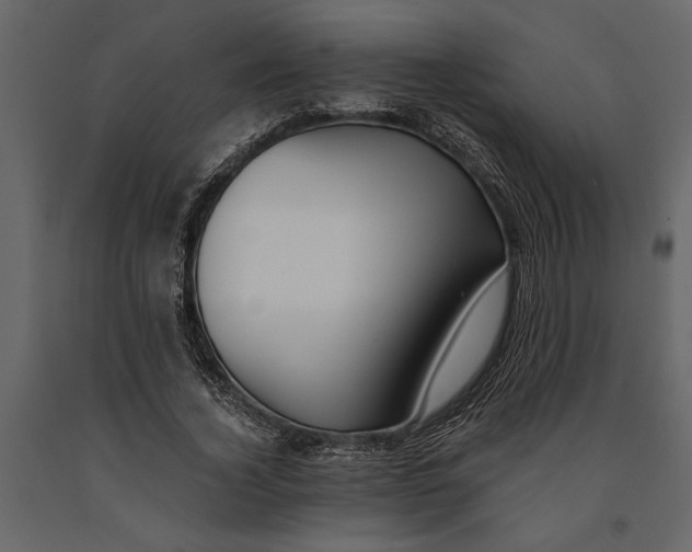 X0000091070732200708271215