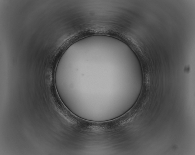 X0000091070733200708271215
