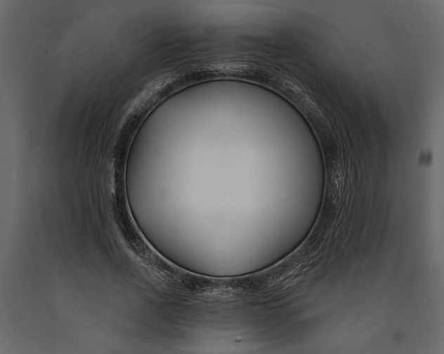X0000091070734200708271215