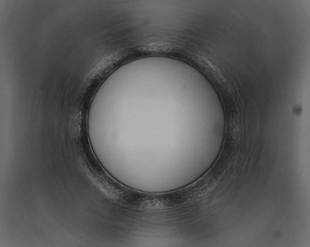 X0000091070735200708271215