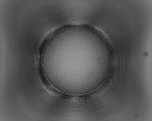 X0000091070736200708271215