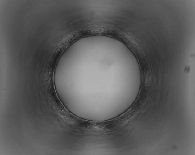 X0000091070737200708271215