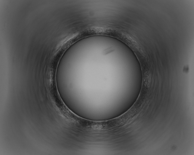 X0000091070740200708271215