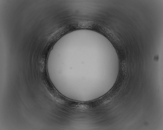 X0000091070741200708271215